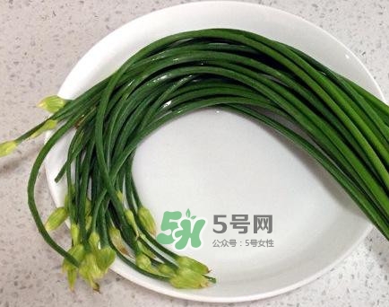 吃韭菜苔回奶嗎？韭菜苔和蒜苗是一回事嗎