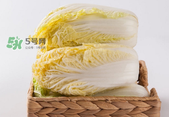 娃娃菜是什么季節(jié)的？娃娃菜什么時候種植