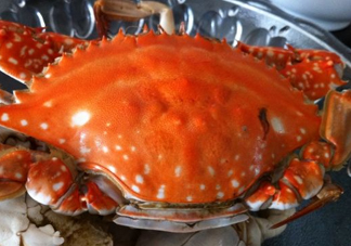 梭子蟹可以清蒸嗎？梭子蟹蒸還是煮？