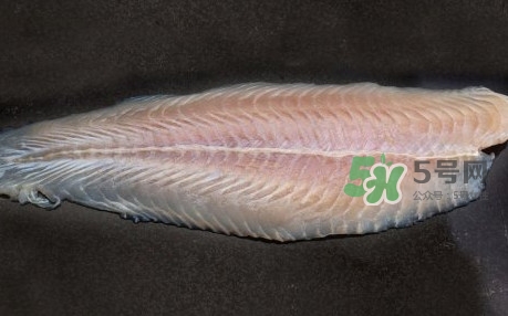龍利魚(yú)是淡水魚(yú)嗎？龍利魚(yú)是巴沙魚(yú)嗎
