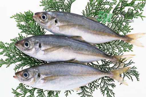 龍利魚(yú)是鱈魚(yú)嗎？龍利魚(yú)和鱈魚(yú)哪個(gè)好吃