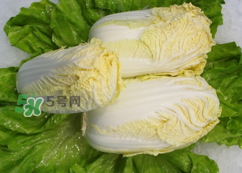 娃娃菜可以放冰箱嗎？娃娃菜可以放多久