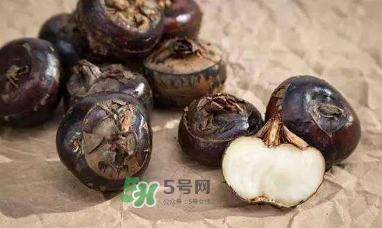 野荸薺是什么樣子的？野荸薺的營養(yǎng)價值