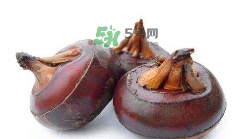 野荸薺怎么吃？野荸薺的食用功效