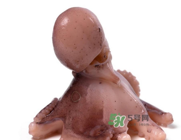 章魚怎么處理？章魚怎么殺