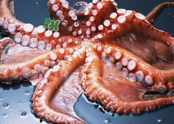 章魚有幾個(gè)心臟？章魚有幾條腿