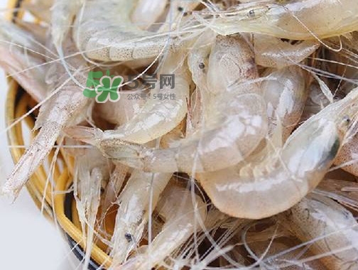 白蝦是河蝦還是海蝦？白蝦是寒性的嗎