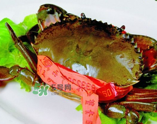 青蟹能放幾天？青蟹能活多久？