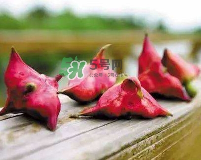 紅菱什么時(shí)候上市？什么時(shí)候采紅菱