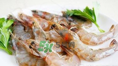 白蝦有寄生蟲嗎？如何選購新鮮的蝦