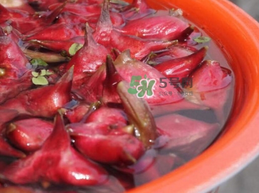 紅菱什么時(shí)候上市？什么時(shí)候采紅菱