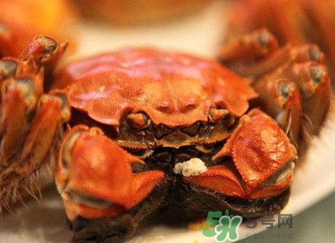 太湖蟹什么時候上市？太湖蟹幾月份有