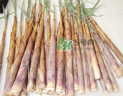 苦筍是什么竹子？苦筍是發(fā)物嗎
