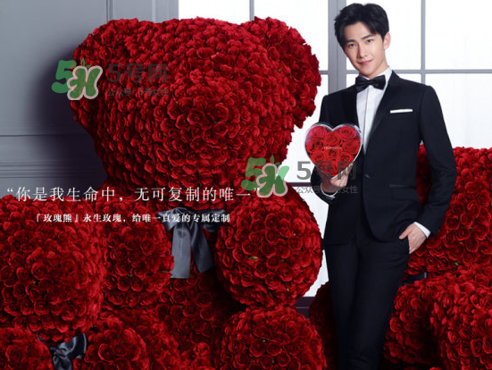 roseonly熊怎么樣？roseonly玫瑰熊好看嗎？