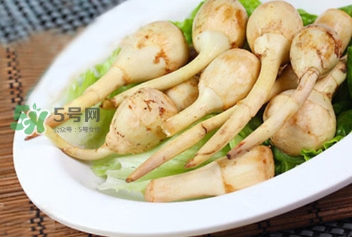 慈姑什么時(shí)候種植？慈姑什么時(shí)候上市