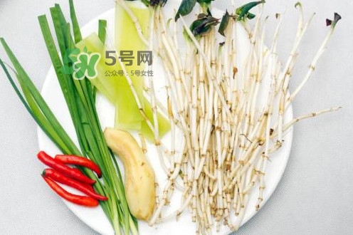 魚腥草用開水泡可以嗎？魚腥草用量多少克？