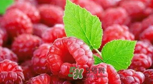 pola莓果酵素怎么吃？pola紅莓酵素怎么樣？