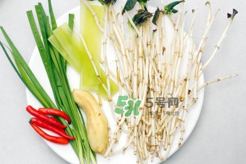 魚(yú)腥草什么季節(jié)有？魚(yú)腥草什么時(shí)候采摘最好