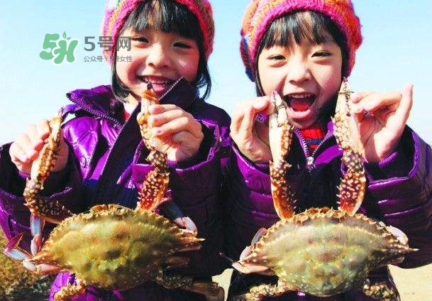 青島梭子蟹多少錢一斤？青島梭子蟹什么時(shí)候上市？