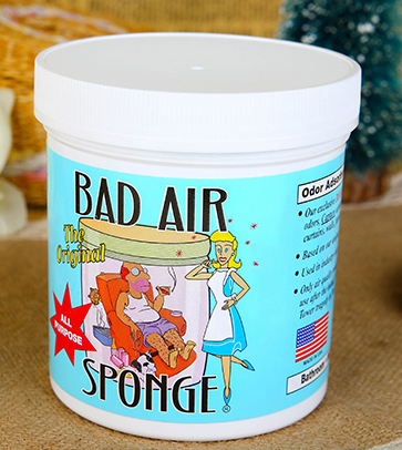 Bad Air Sponge有用嗎？Bad Air Sponge效果如何？