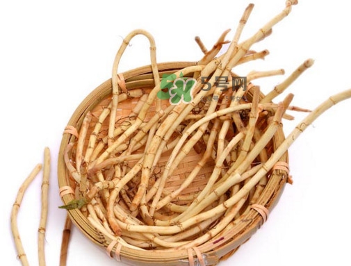 折耳根有毒嗎？折耳根有毒吃了會傷腎？