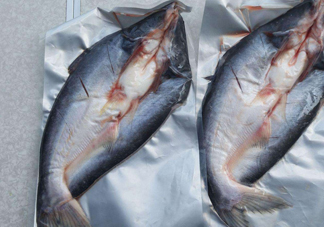 巴沙魚到底能不能吃？吃巴沙魚有什么危害嗎