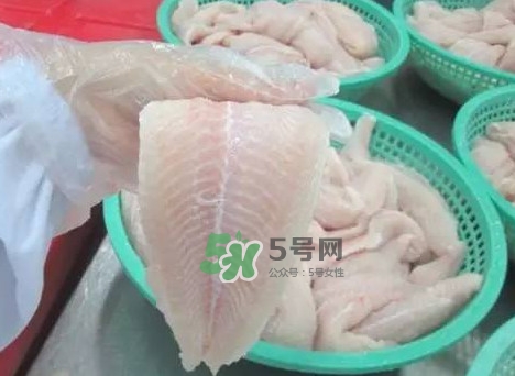 巴沙魚有刺嗎？巴沙魚有寄生蟲嗎