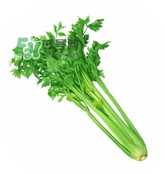 吃芹菜能殺精避孕嗎？芹菜殺精是真的嗎？