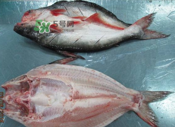 巴沙魚(yú)是鯰魚(yú)嗎？巴沙魚(yú)是海魚(yú)嗎