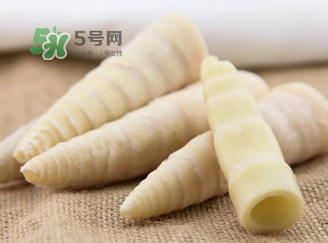 苦筍是什么竹子？苦筍是發(fā)物嗎