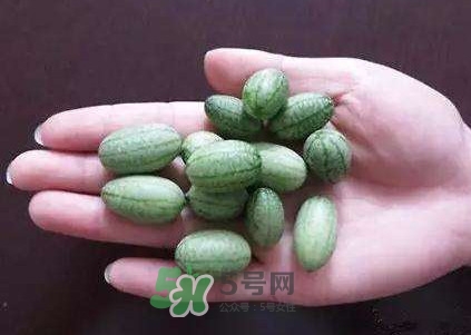 拇指西瓜怎么吃？拇指西瓜好吃嗎
