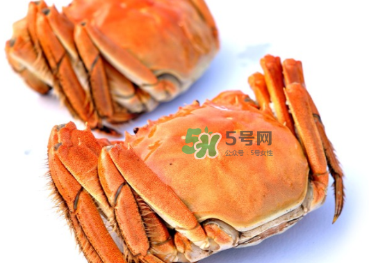 板蟹蒸多長(zhǎng)時(shí)間？板蟹蒸多久時(shí)間能熟？