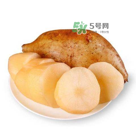 雪蓮果怎么挑？雪蓮果怎么儲(chǔ)存方法？