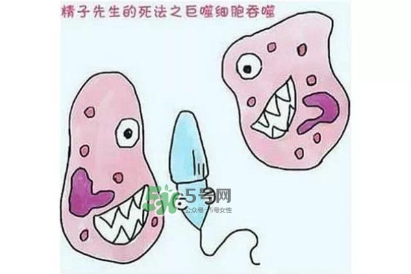 殺精的食物有哪些？吃什么東西殺精？
