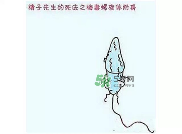 殺精的食物有哪些？吃什么東西殺精？