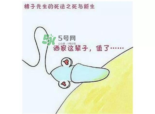 殺精的食物有哪些？吃什么東西殺精？