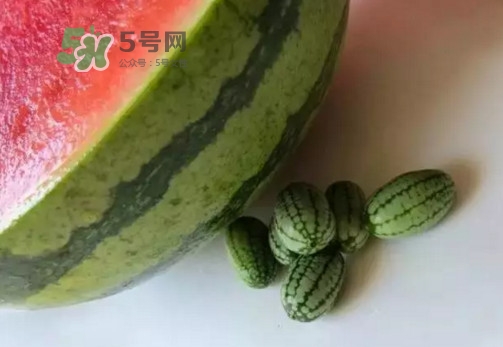 拇指西瓜什么時候上市？拇指西瓜什么時候成熟