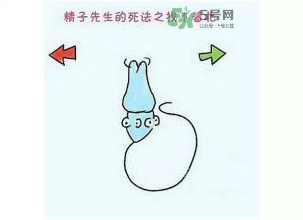 殺精的食物有哪些？吃什么東西殺精？