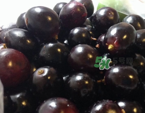 烏梅是綠色的正常嗎？烏梅是綠色的能吃嗎