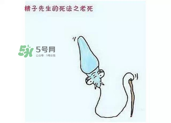 殺精的食物有哪些？吃什么東西殺精？