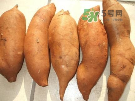 雪蓮果是水果嗎？雪蓮果是什么季節(jié)的水果？