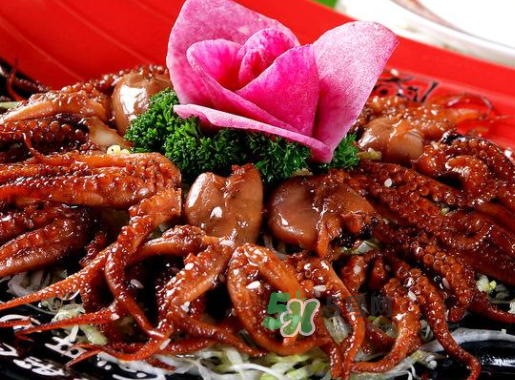 八爪魚什么地方不能吃？八爪魚哪里不能吃？