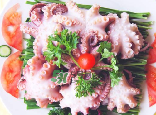 八爪魚什么地方不能吃？八爪魚哪里不能吃？