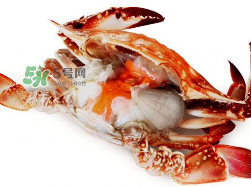 吃梭子蟹會胖嗎？梭子蟹吃了會胖嗎？ 