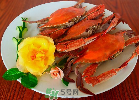 吃梭子蟹會胖嗎？梭子蟹吃了會胖嗎？ 