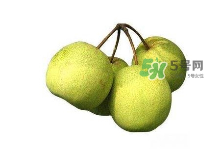 碭山梨好還是皇冠梨好？碭山梨和皇冠梨的區(qū)別