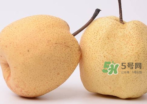 碭山梨什么時(shí)候成熟？碭山梨幾月份成熟