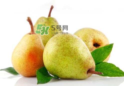 梨子是什么季節(jié)的水果？梨子什么季節(jié)吃最好