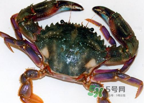 螃蟹腿藍(lán)色的是什么？螃蟹腿為什么是藍(lán)色？