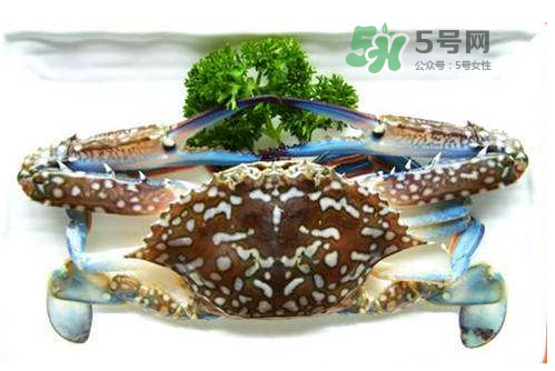 螃蟹腿藍(lán)色的是什么？螃蟹腿為什么是藍(lán)色？